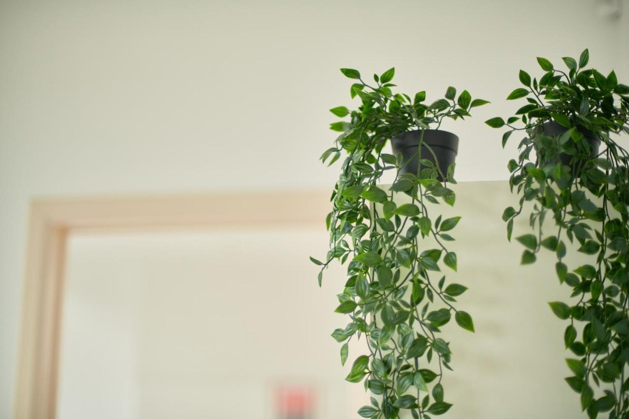 Bolofts Apartment แอนต์เวิร์ป ภายนอก รูปภาพ